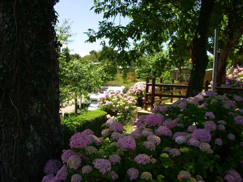 Wecamp San Sebastian Hotel Exterior foto